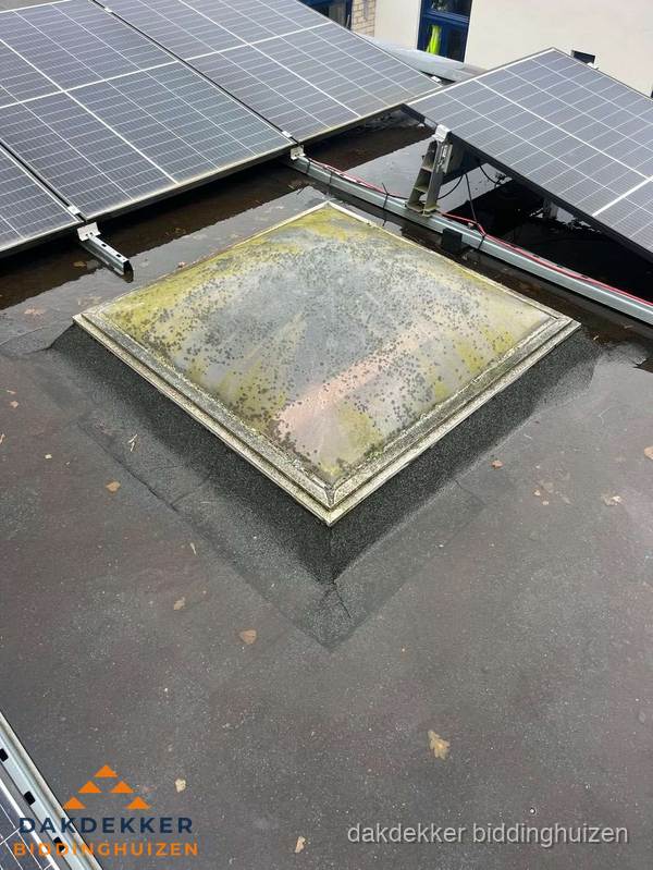 Vervuilde lichtkoepel op plat dak met zonnepanelen in Biddinghuizen