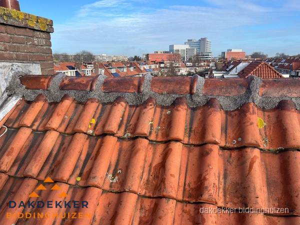 Pannendak met nokvorst en schoorsteen, dakrenovatie in Biddinghuizen
