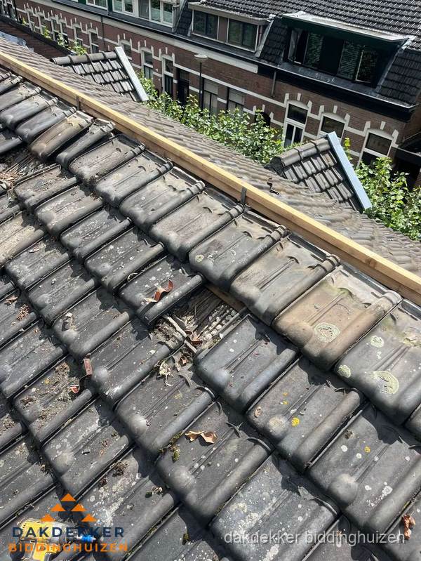 Dakonderhoud aan schuin pannendak met nokvernieuwing in Biddinghuizen
