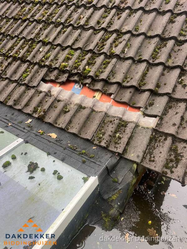Beschadigd pannendak met ontbrekende dakpannen voor reparatie in Biddinghuizen