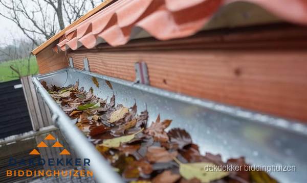 Dakgoot vol bladeren die gereinigd moet worden in Biddinghuizen