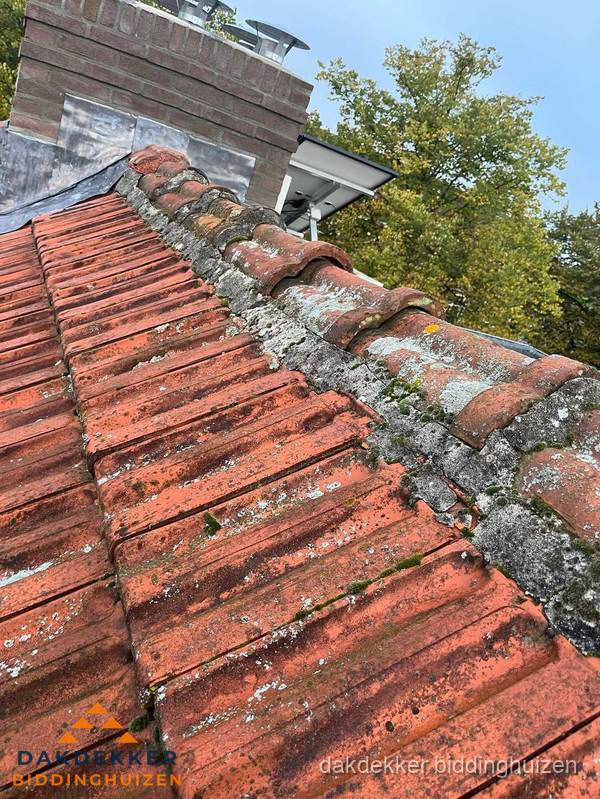 Verweerd hellend dak met mosgroei op nokvorst in Biddinghuizen
