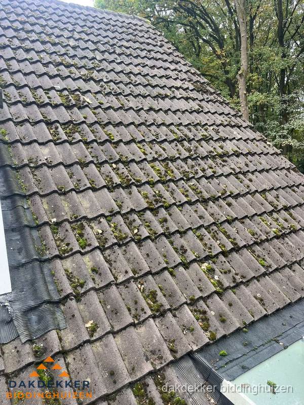 Verweerd pannendak met mosgroei dat renovatie nodig heeft in Biddinghuizen